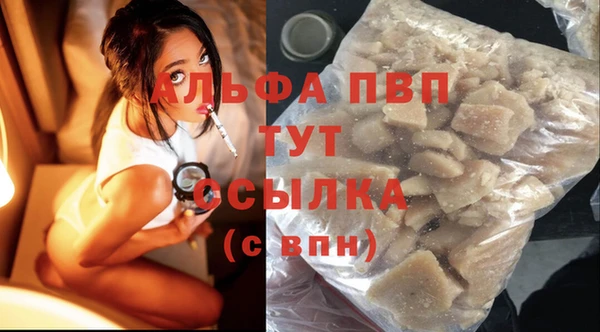 тгк Новозыбков