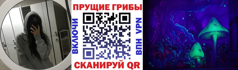 Псилоцибиновые грибы мухоморы  ссылка на мегу зеркало  Южно-Сухокумск 